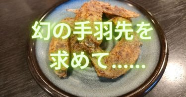 名古屋メシを食べたいけど遠いし……そうだ、世界の山ちゃんに行こう！