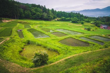 東北を平定させた征夷大将軍“坂上田村麻呂”が登場！