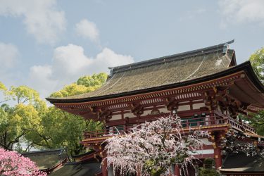 秀才ゆえに妬まれてしまった菅原道真！“学問の神”と太宰府天満宮の関係は？